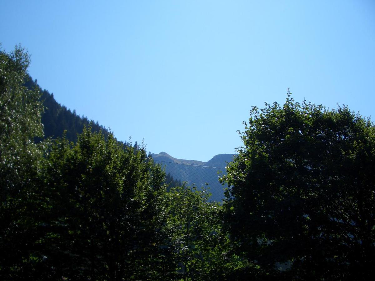 Meckyheim Leilighet Mayrhofen Eksteriør bilde